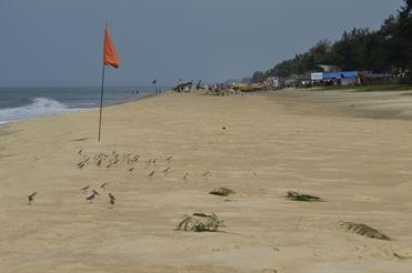 01 Mobor-Beach_and_Cavelossim-Beach,_Goa_DSC6327_b_H600